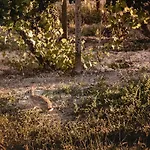 Vinory Bricco Di Nizza Lägenhetshotell
