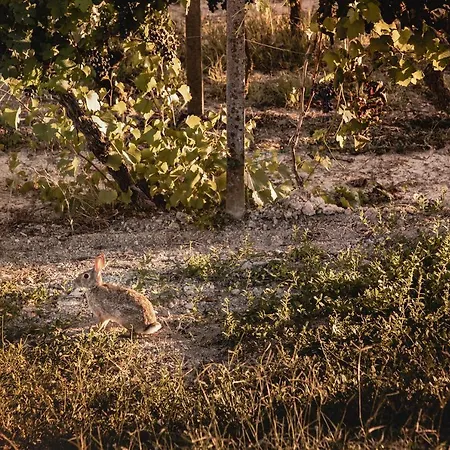 Vinory Bricco Di Nizza Apartmanhotel