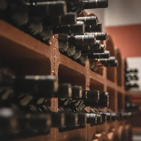 Apartmanhotel Vinory Bricco Di Nizza 4*