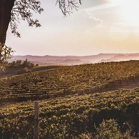 Vinory Bricco Di Nizza Apartmanhotel Nizza Monferrato