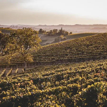 Vinory Bricco Di Nizza 4*