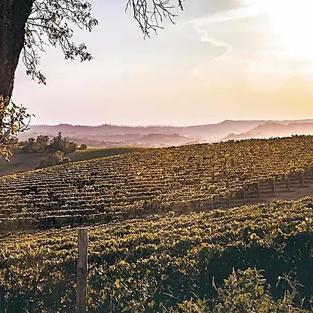 Vinory Bricco Di Nizza Nizza Monferrato